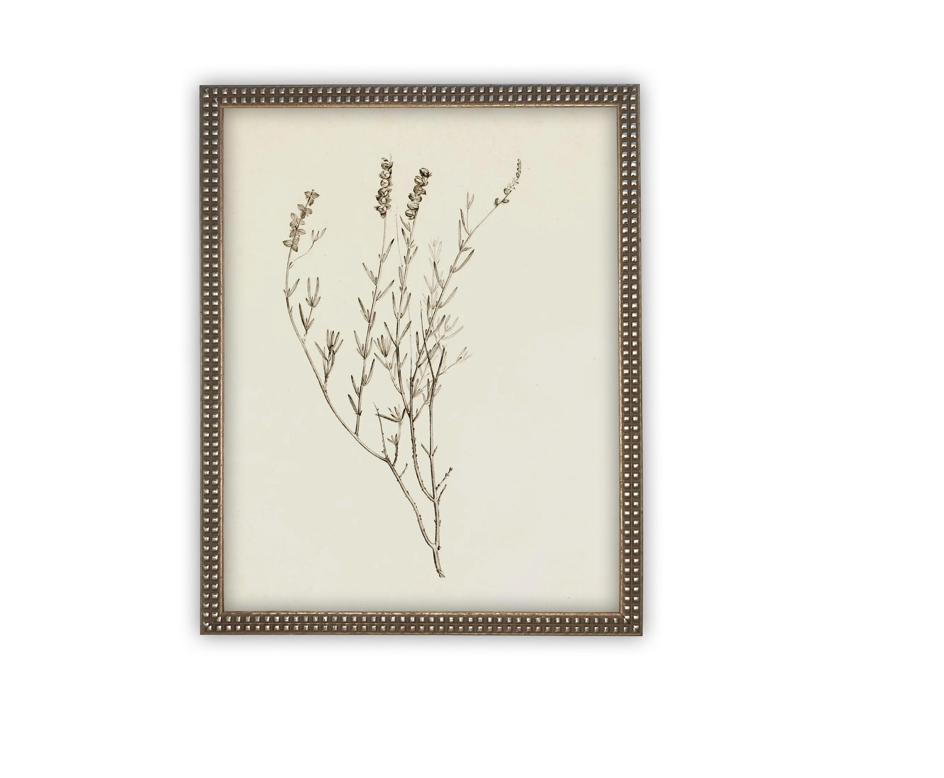 Vintage Framed Botanical Canvas Farmhouse Art