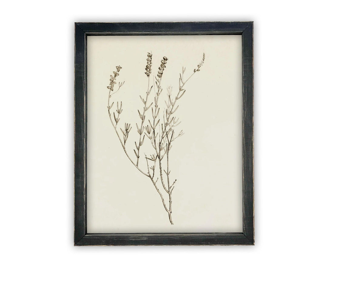 Vintage Framed Botanical Canvas Farmhouse Art