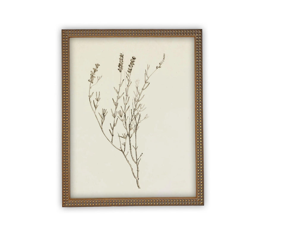 Vintage Framed Botanical Canvas Farmhouse Art