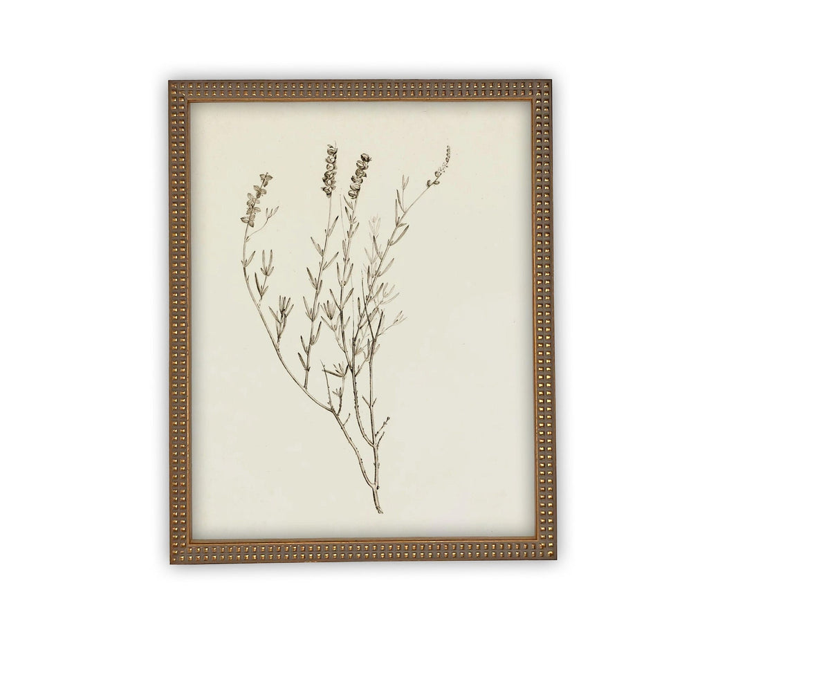 Vintage Framed Botanical Canvas Farmhouse Art