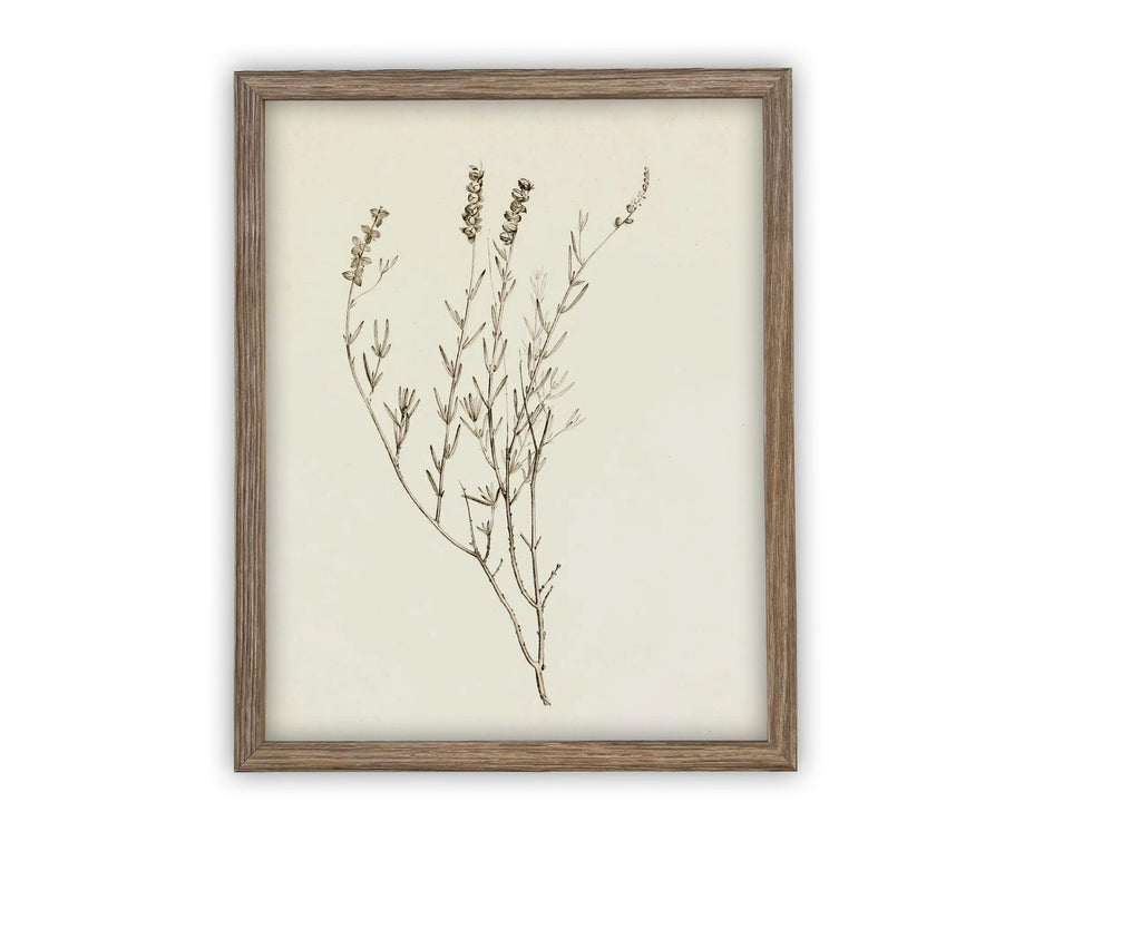 Vintage Framed Botanical Canvas Farmhouse Art