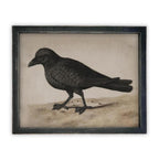 Vintage Framed Canvas Black Bird Art