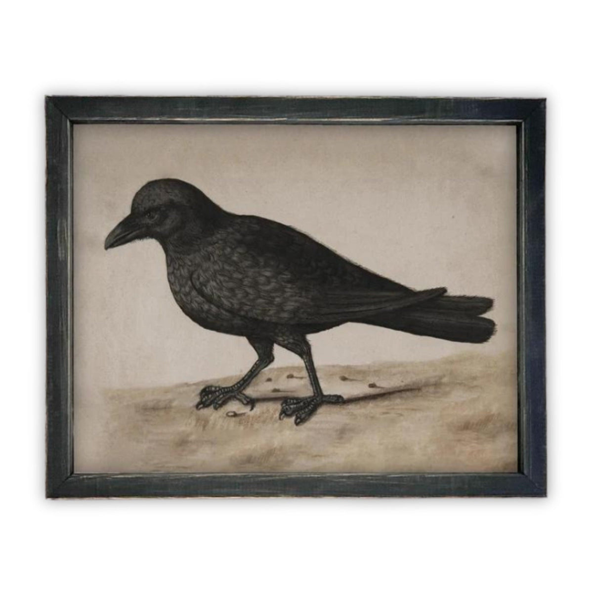 Vintage Framed Canvas Black Bird Art