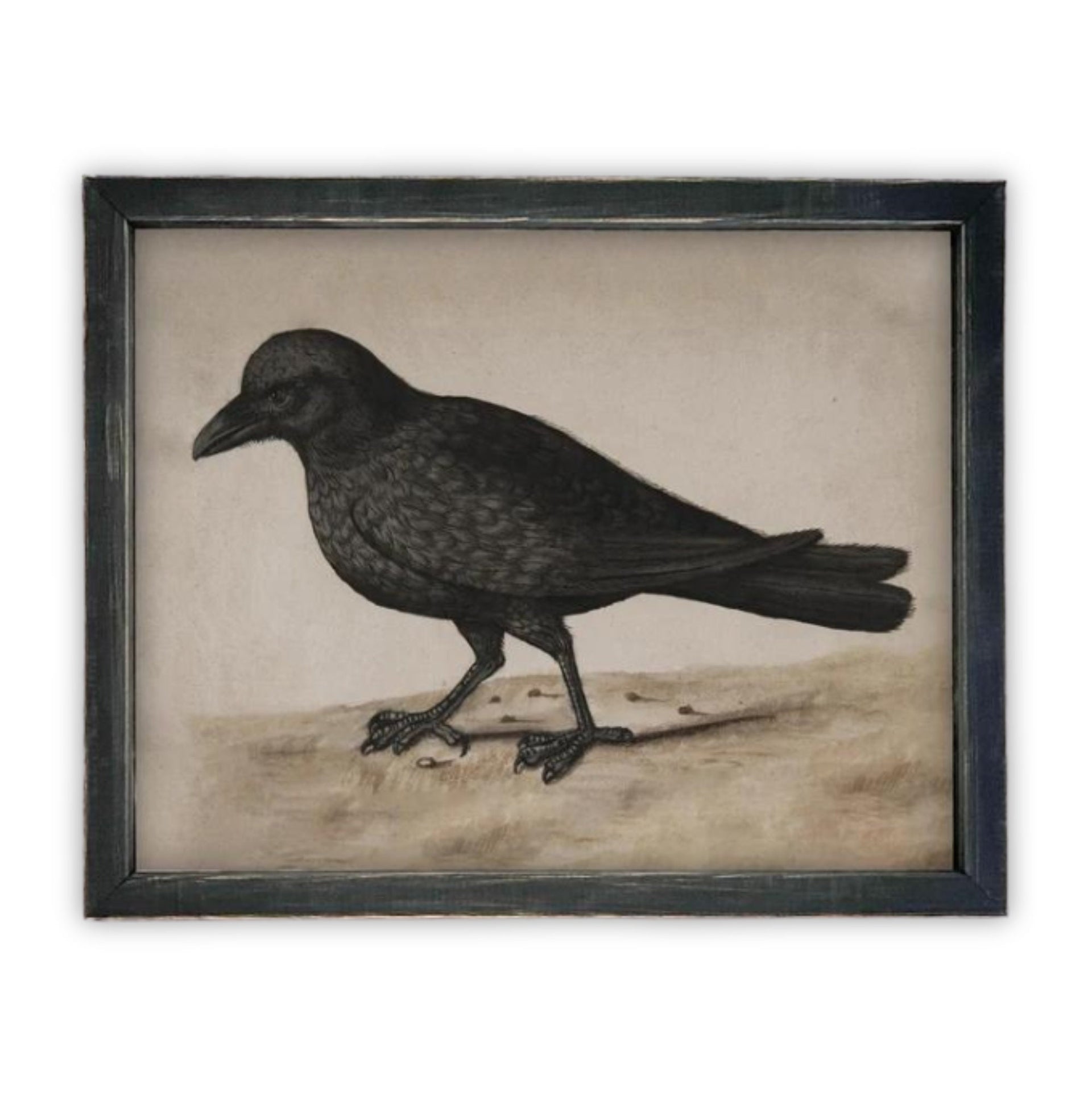 Vintage Framed Canvas Black Bird Art