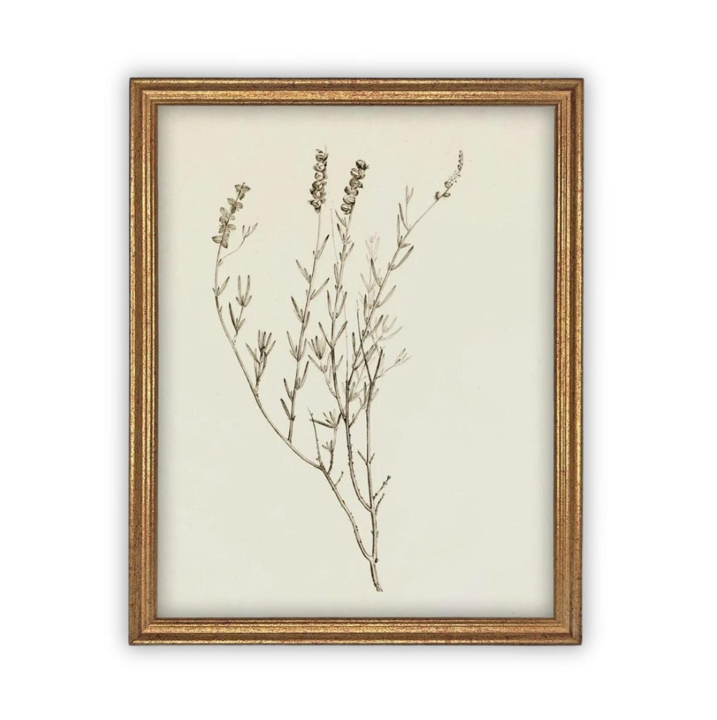 Vintage Framed Botanical Canvas Farmhouse Art