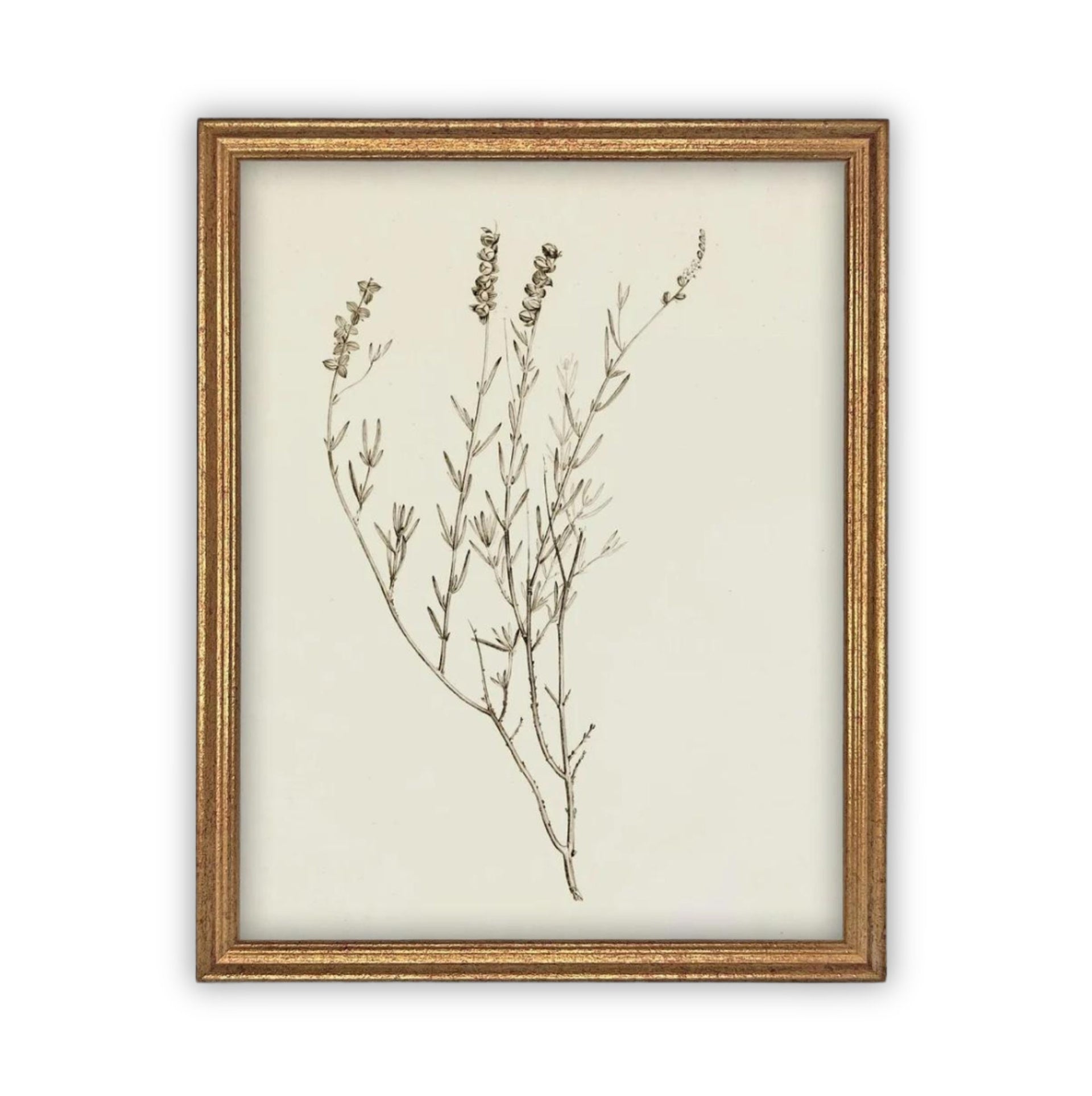 Vintage Framed Botanical Canvas Farmhouse Art