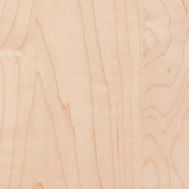 Wood Sample-Maple Natural