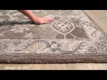 Euphrates Mocha Hand-Tufted Rug