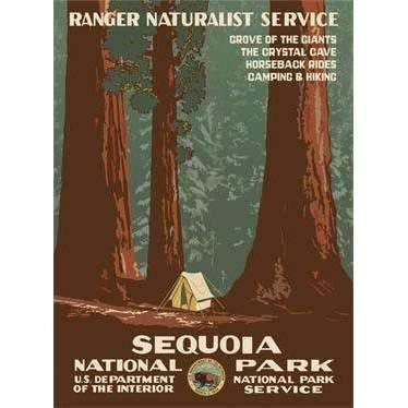 Sequoia National Park Poster Decor Ford Craftsman 