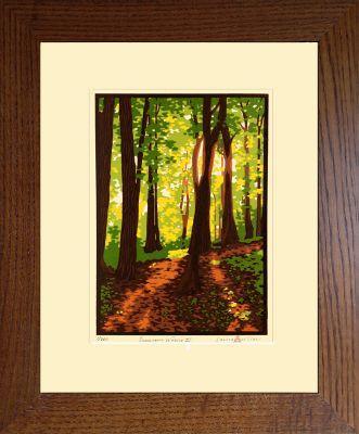 Laura Wilder Summer Woods III Print Decor Laura Wilder Block Print Framed 