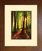 Laura Wilder Summer Woods III Print Decor Laura Wilder Block Print Framed 