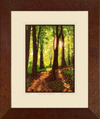 Laura Wilder Summer Woods III Print Decor Laura Wilder Giclee Print Framed 