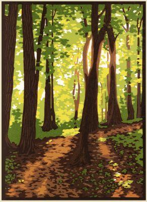 Laura Wilder Summer Woods III Print Decor Laura Wilder Giclee Print Unframed 