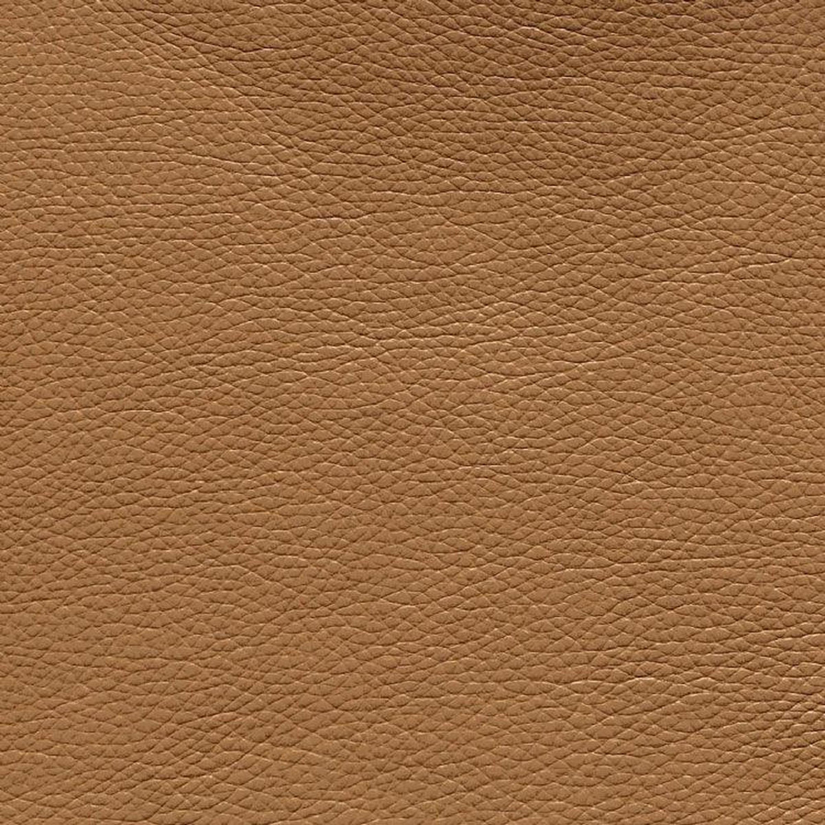 Leather Sample-Almafi Buff Protected Plus Samples Omnia