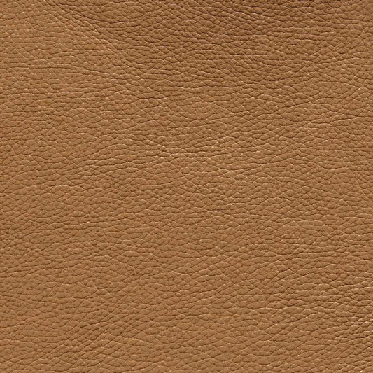 Leather Sample-Almafi Buff Protected Plus Samples Omnia 