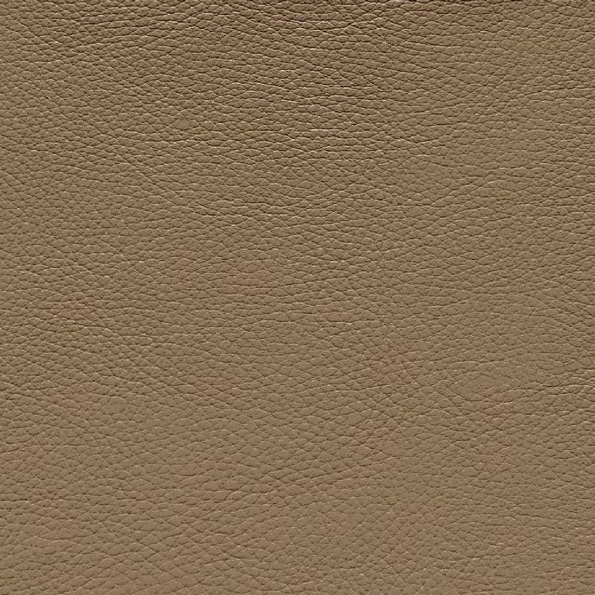 Leather Sample-Almafi Mushroom Protected Plus Samples Omnia
