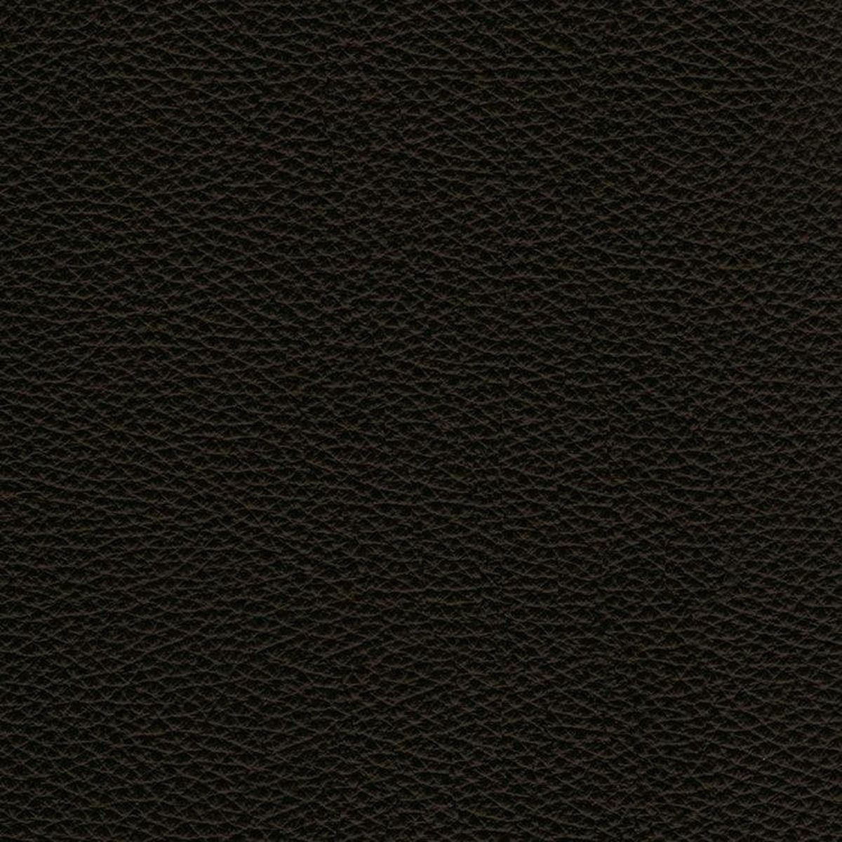 Leather Sample-Almafi Nero Protected Plus Samples Omnia