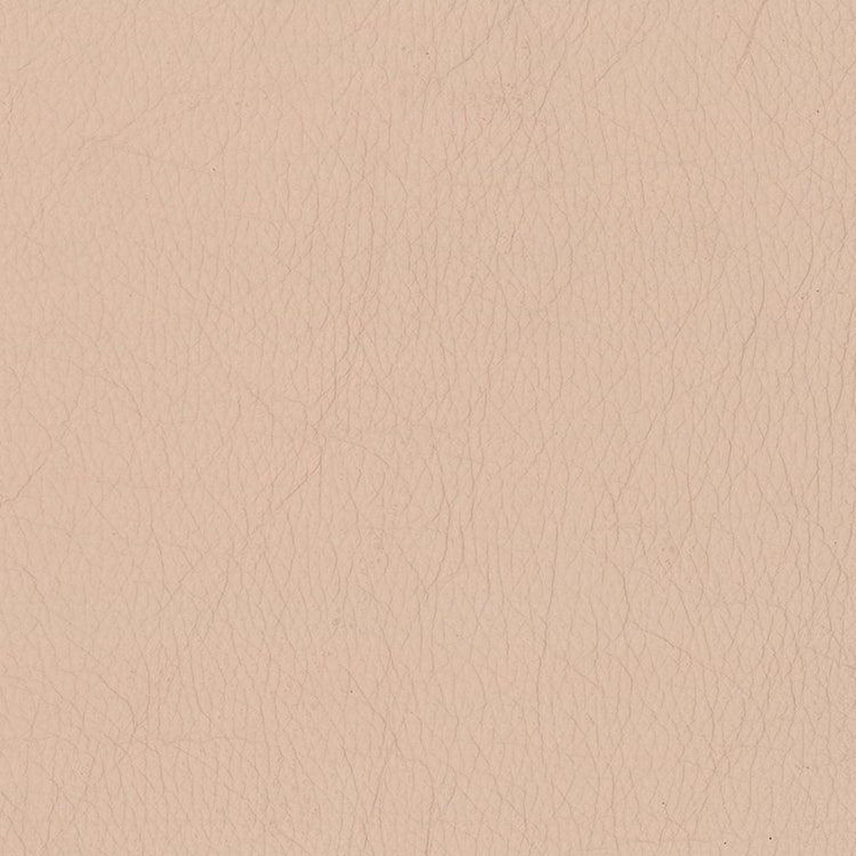 Leather Sample-Almafi Vanilla Protected Plus Samples Omnia
