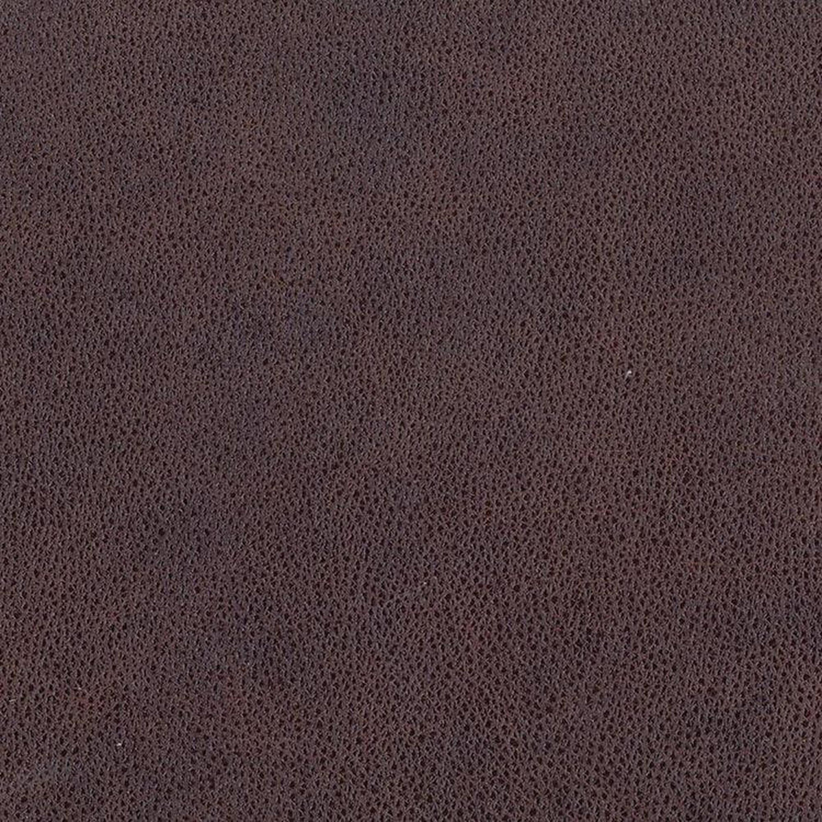 Leather Sample-Brooklyn Clove Aniline Leather Samples Omnia