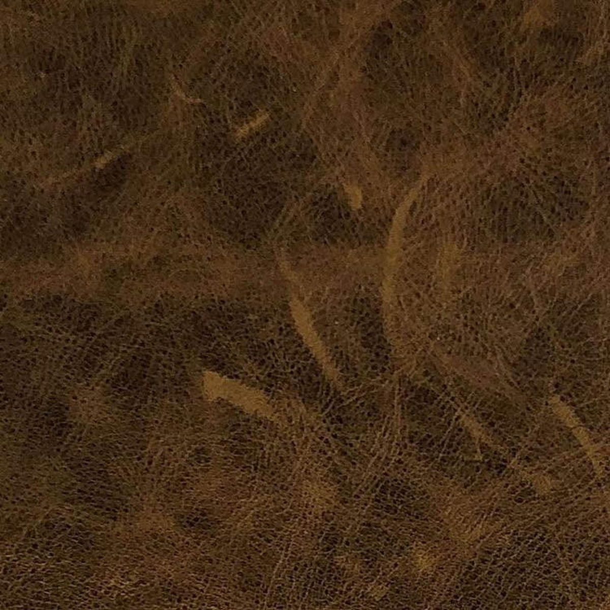 Leather Sample-Burlington Ranch Aniline Leather Samples Omnia