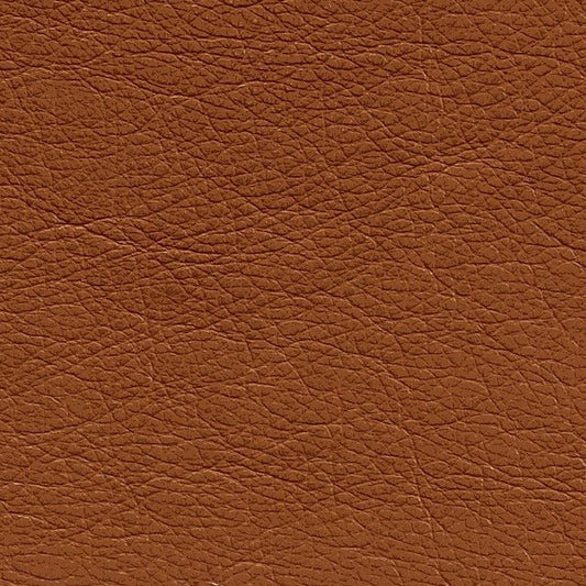 Leather Sample-Denver Caramel Grade 2 Samples Omnia 