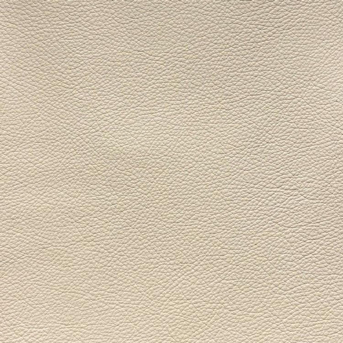 Leather Sample-Denver Oyster Protected Plus Samples Omnia