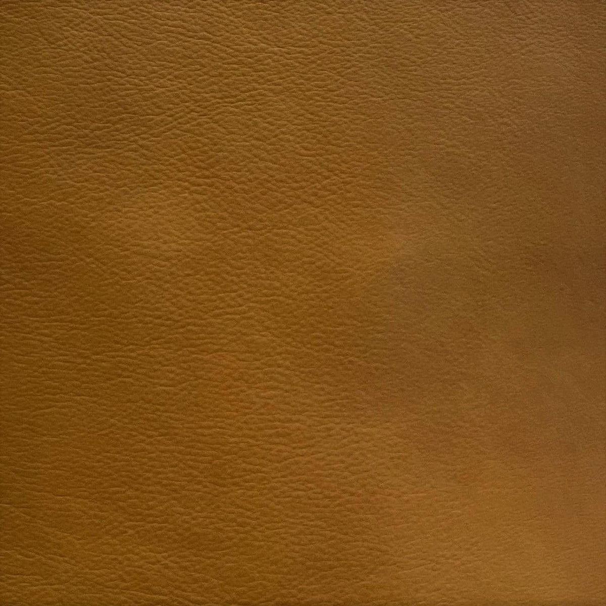 Leather Sample-Denver Palomino Protected Plus Samples Omnia