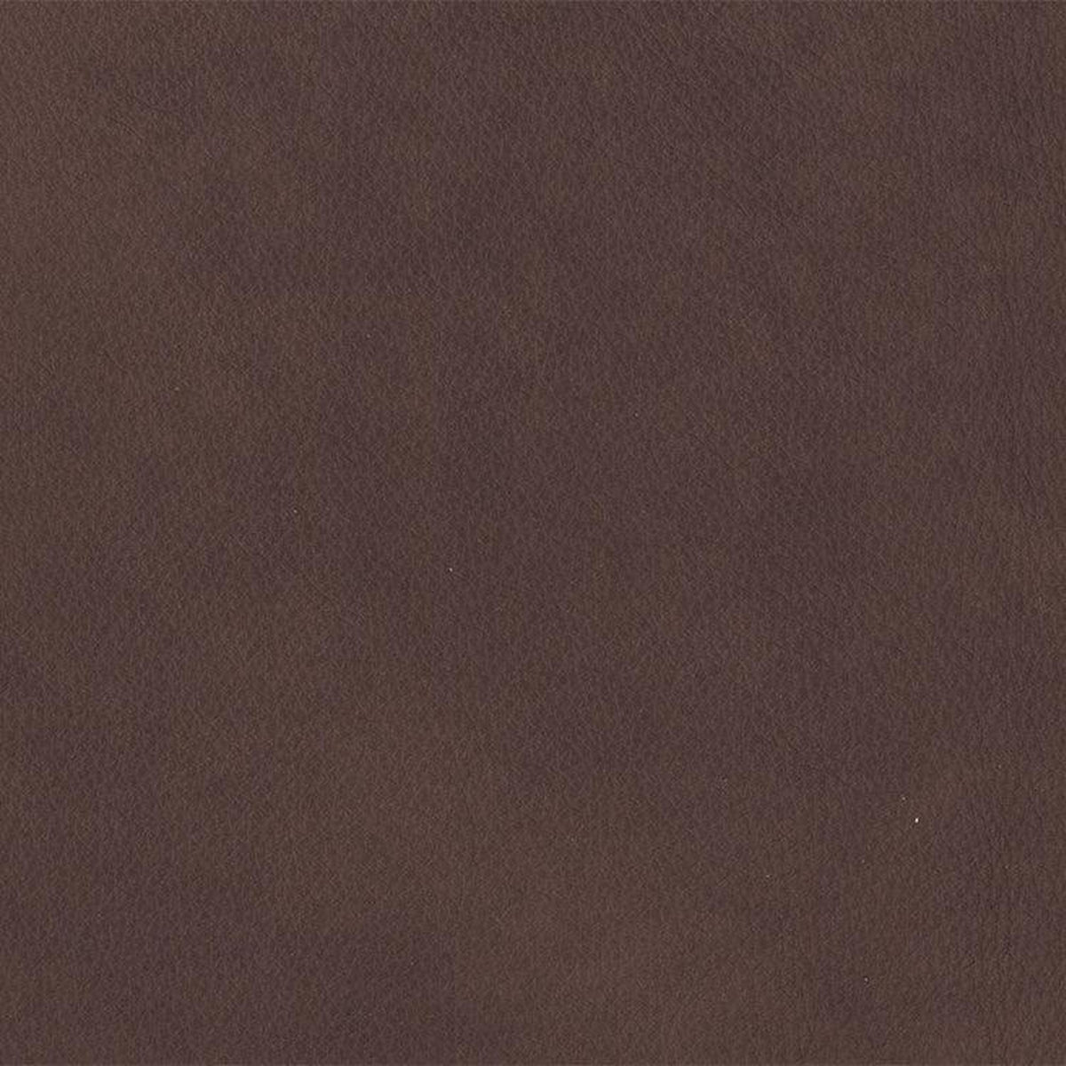 Leather Sample-Eugene Mink Aniline Leather Samples Omnia