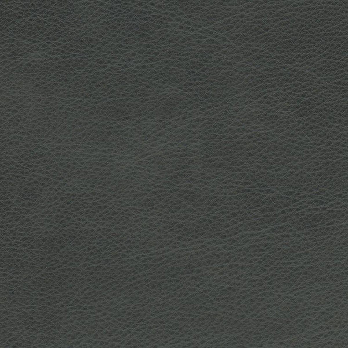Leather Sample-Eugene Slate Aniline Leather Samples Omnia