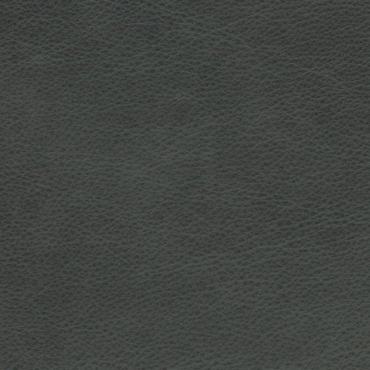 Leather Sample-Eugene Slate Aniline Leather Samples Omnia 