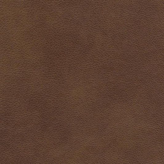 Leather Sample-Eugene Tumbleweed Aniline Leather Samples Omnia 