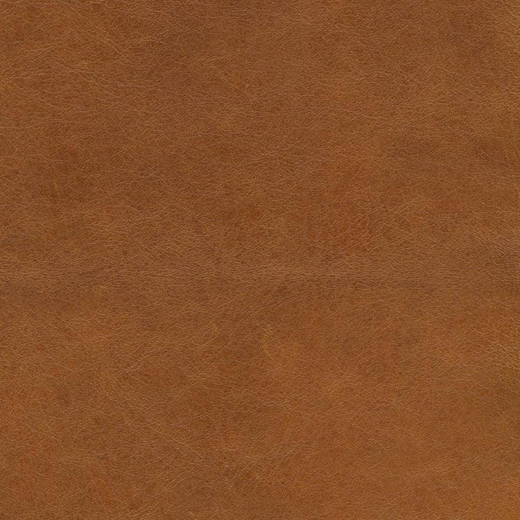 Leather Sample-Guanaco Aztec Protected Plus Samples Omnia