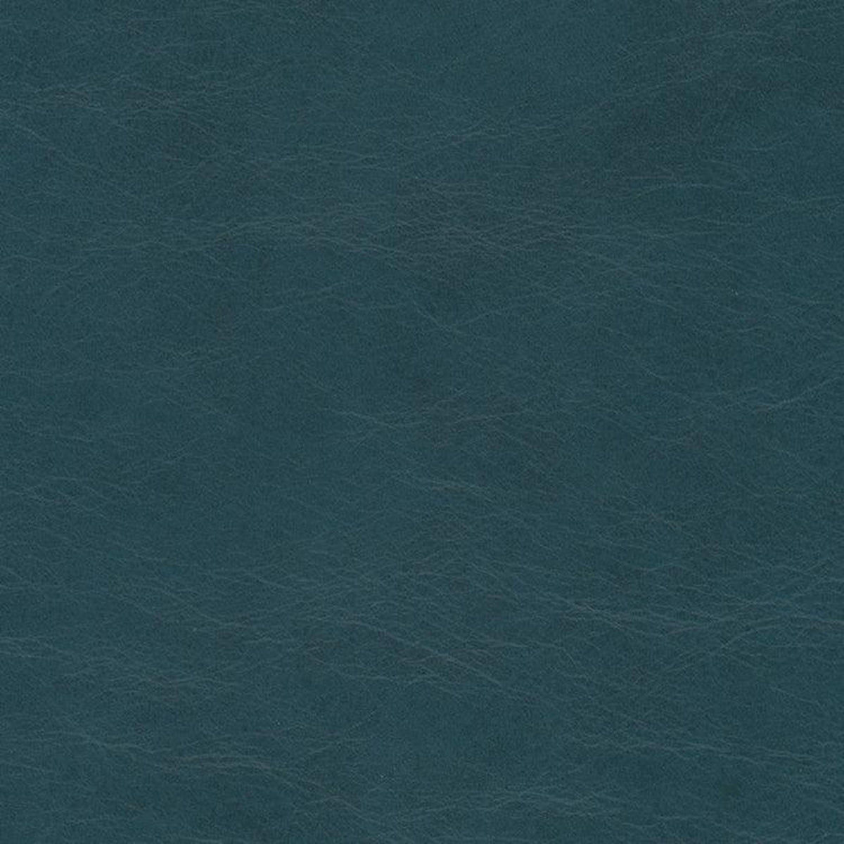 Leather Sample-Guanaco Bermuda Protected Plus Samples Omnia
