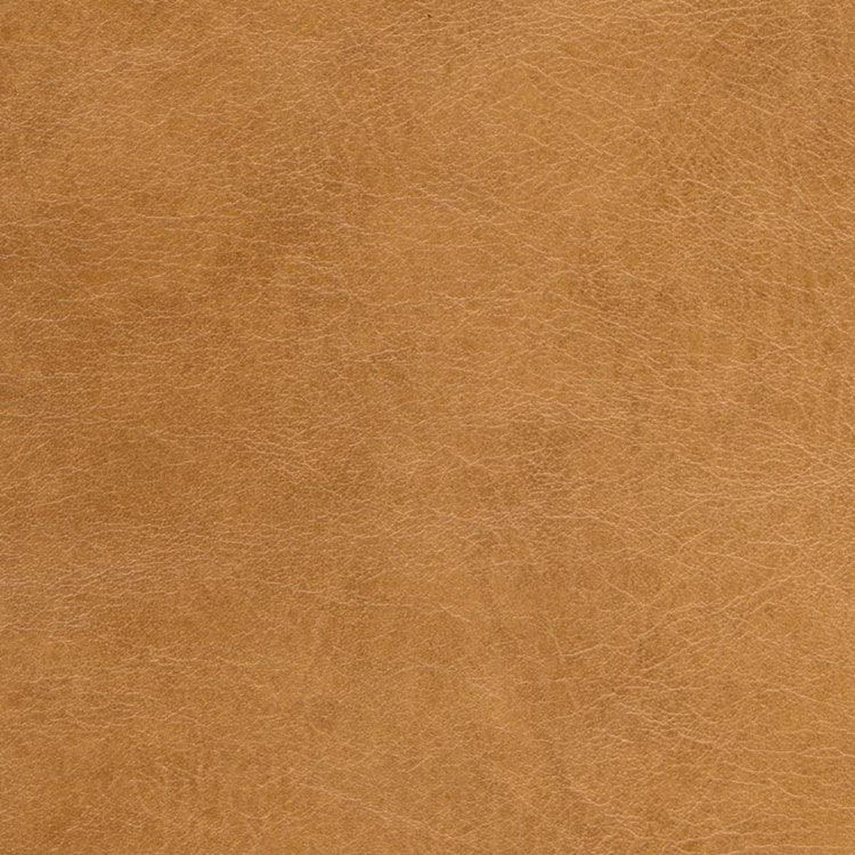 Leather Sample-Guanaco Caramel Protected Plus Samples Omnia