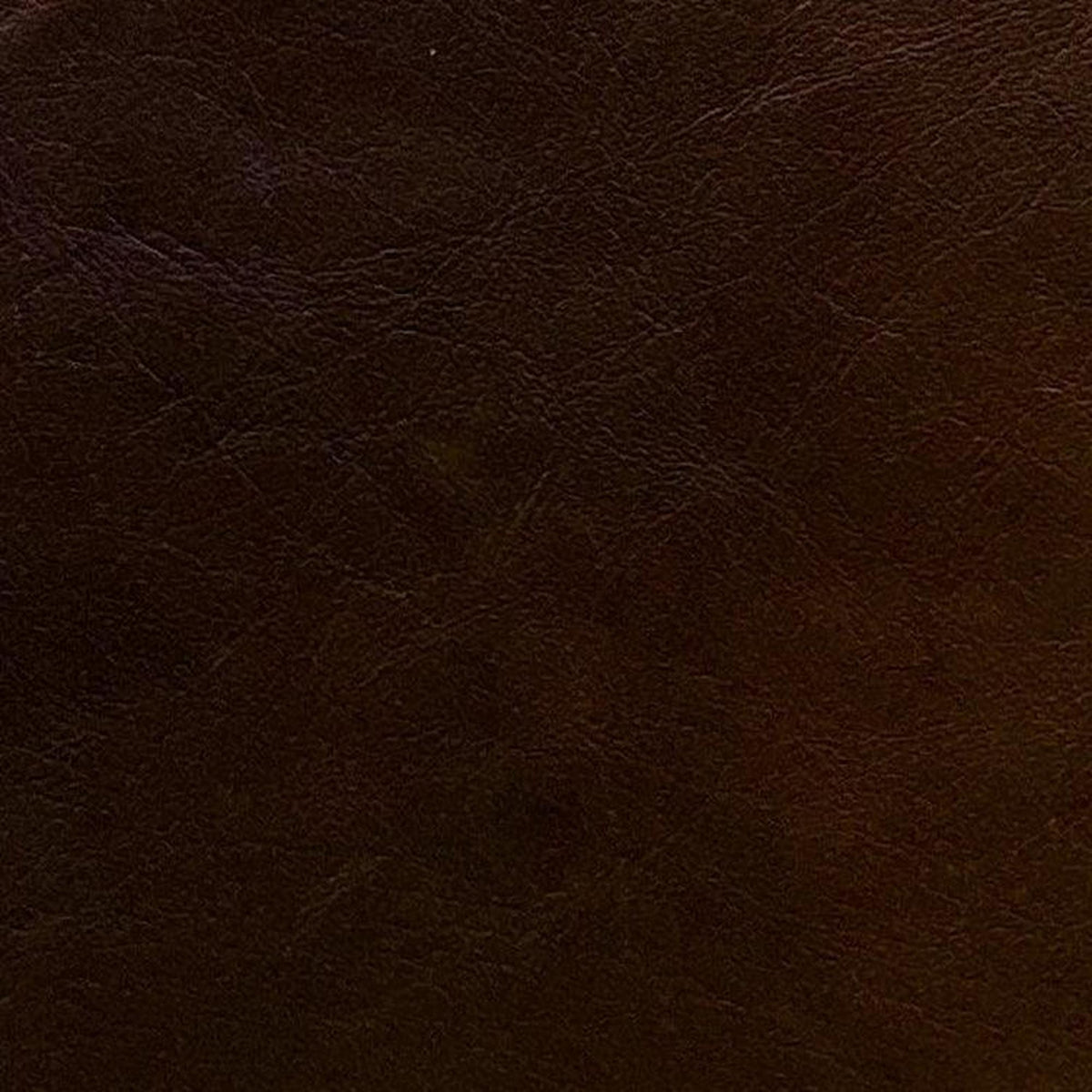 Leather Sample-Guanaco Dark Brown Protected Plus Samples Omnia