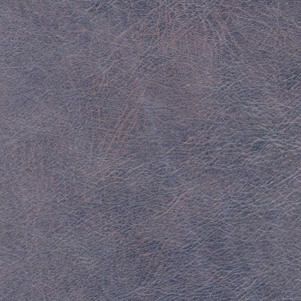 Leather Sample-Guanaco Grey Protected Plus Samples Omnia