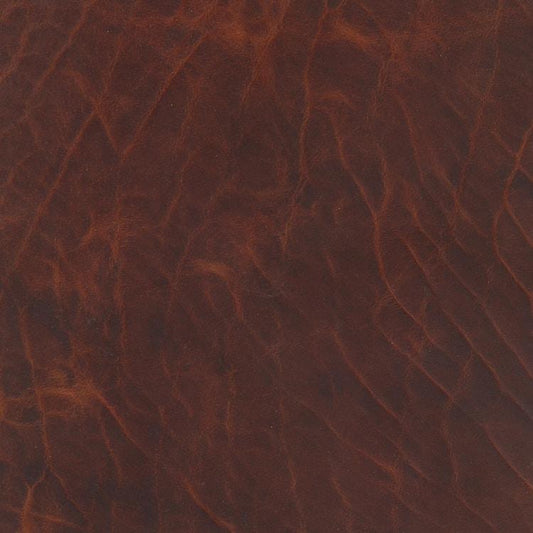 Leather Sample-Rowdy Bison Grade 5 Samples Omnia 