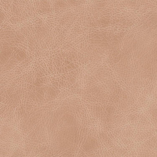 Leather Sample-Saloon Blush Aniline Leather Samples Omnia 