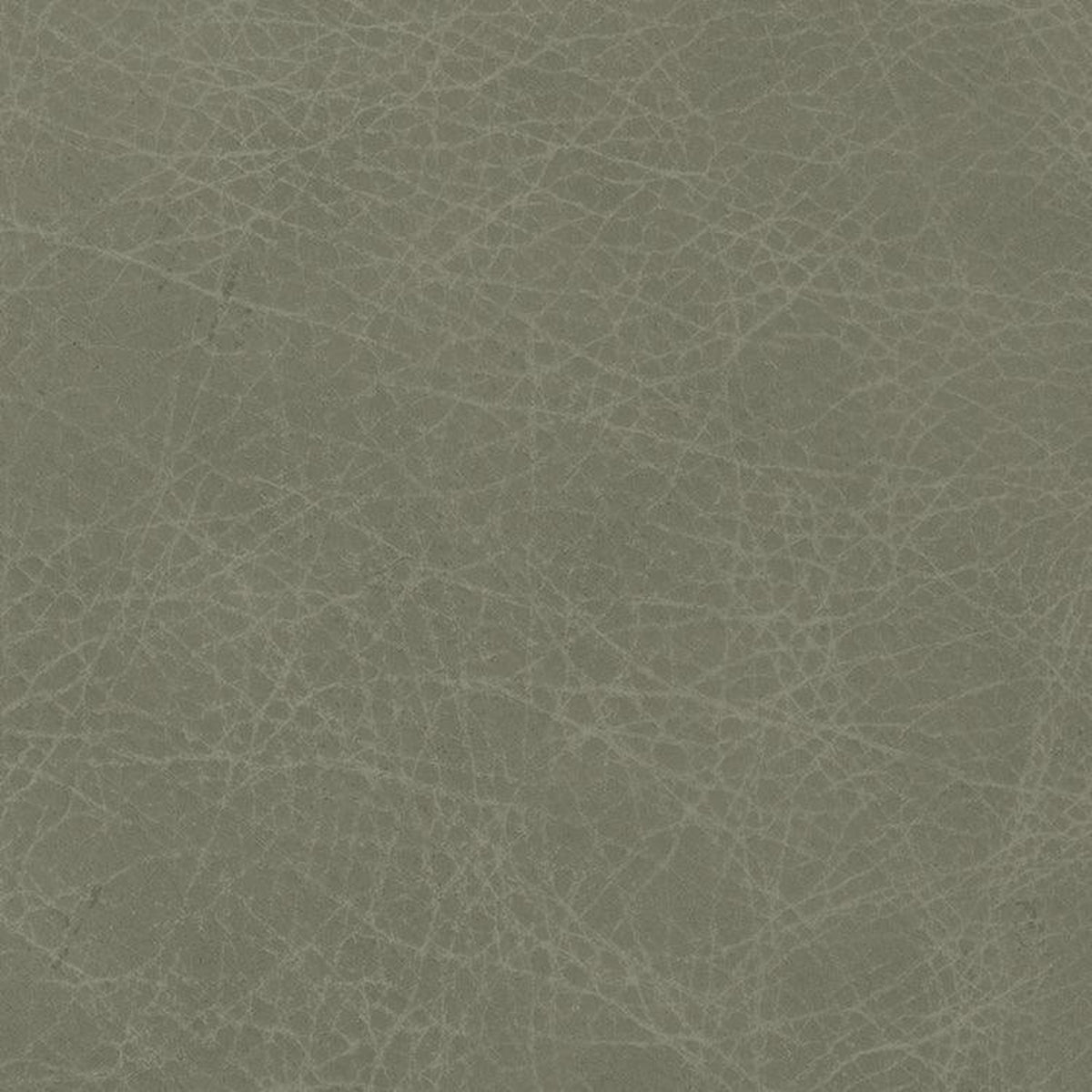 Leather Sample-Saloon Dove Aniline Leather Samples Omnia