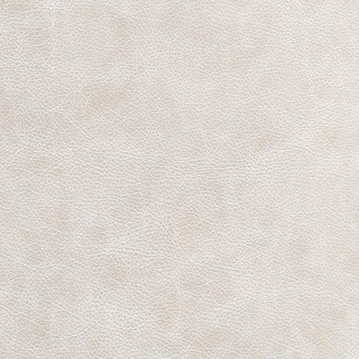 Leather Sample-Saloon Luna Aniline Leather Samples Omnia