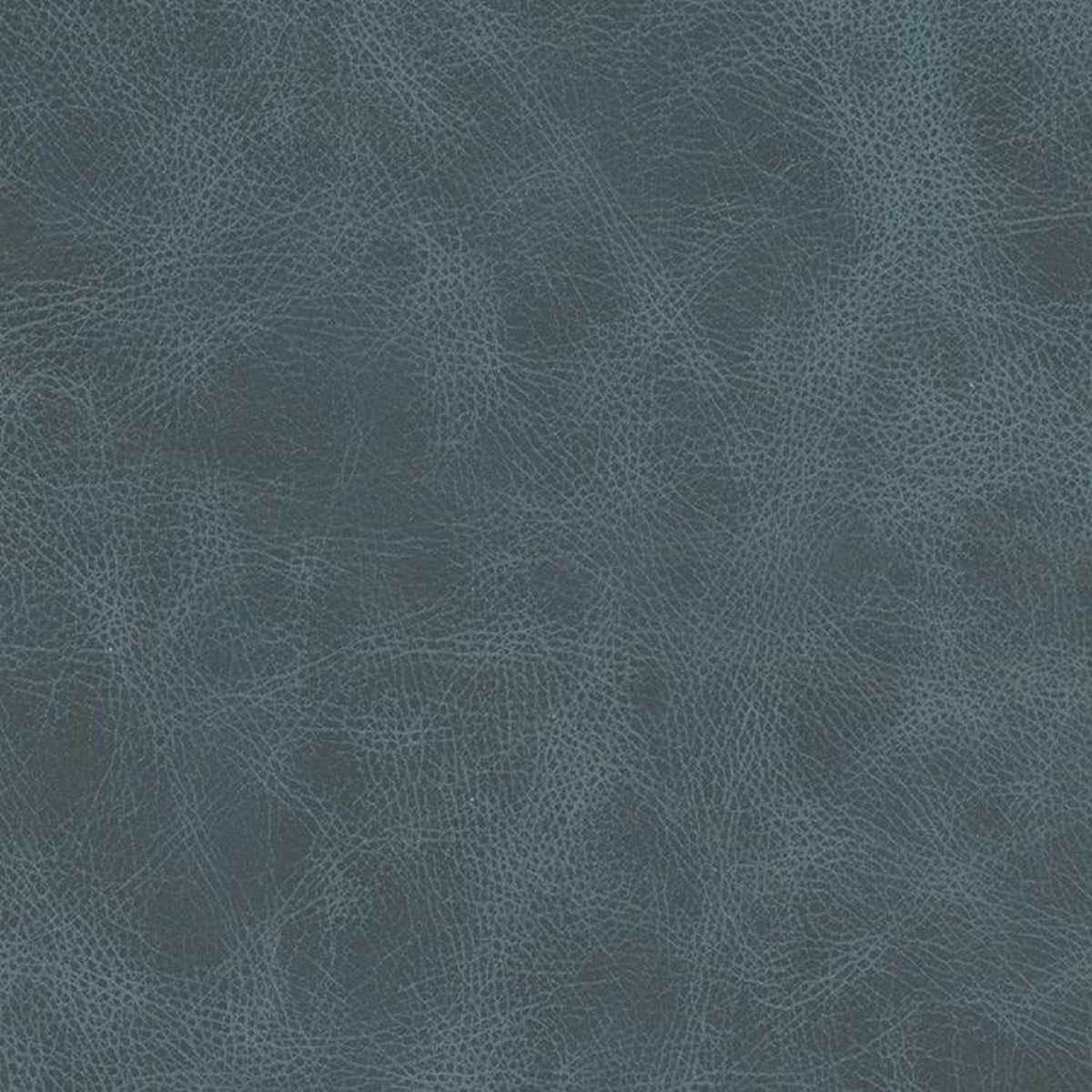 Leather Sample-Saloon Marlin Aniline Leather Samples Omnia