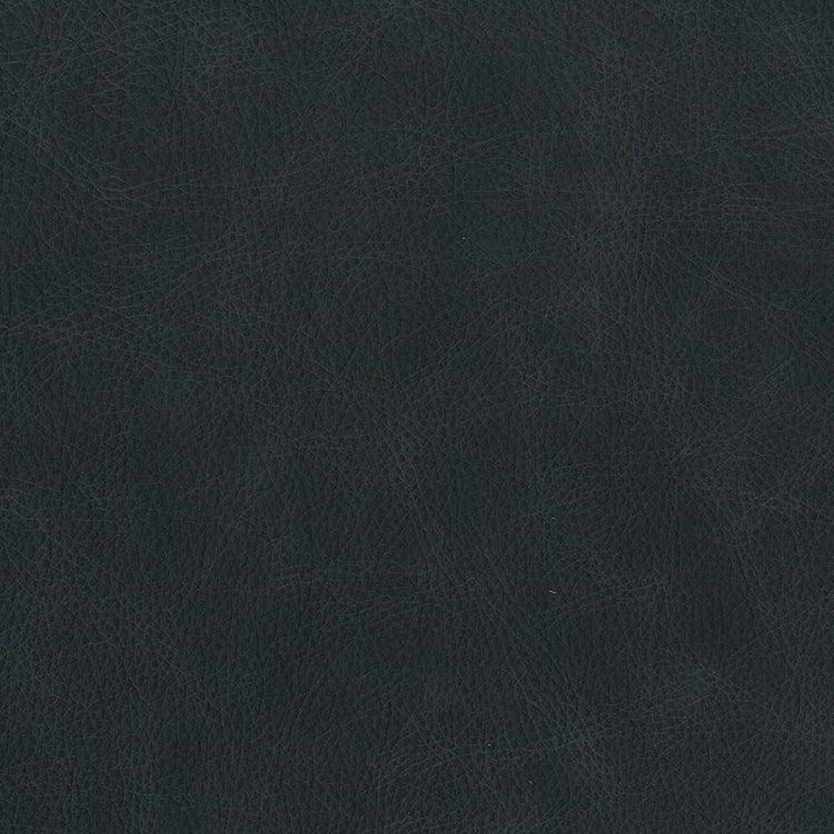 Leather Sample-Saloon Night Sky Aniline Leather Samples Omnia