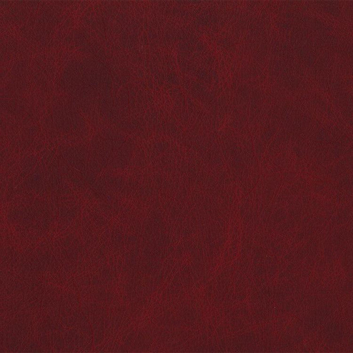 Leather Sample-Saloon Oxblood Aniline Leather Samples Omnia