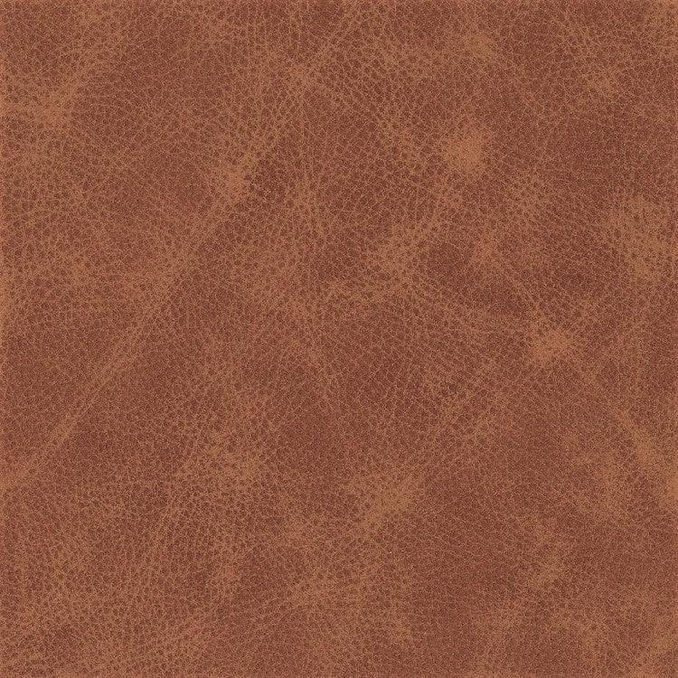Leather Sample-Saloon Palomino Grade 3 Samples Omnia 