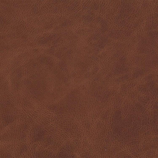 Leather Sample-Saloon Rum Aniline Leather Samples Omnia 