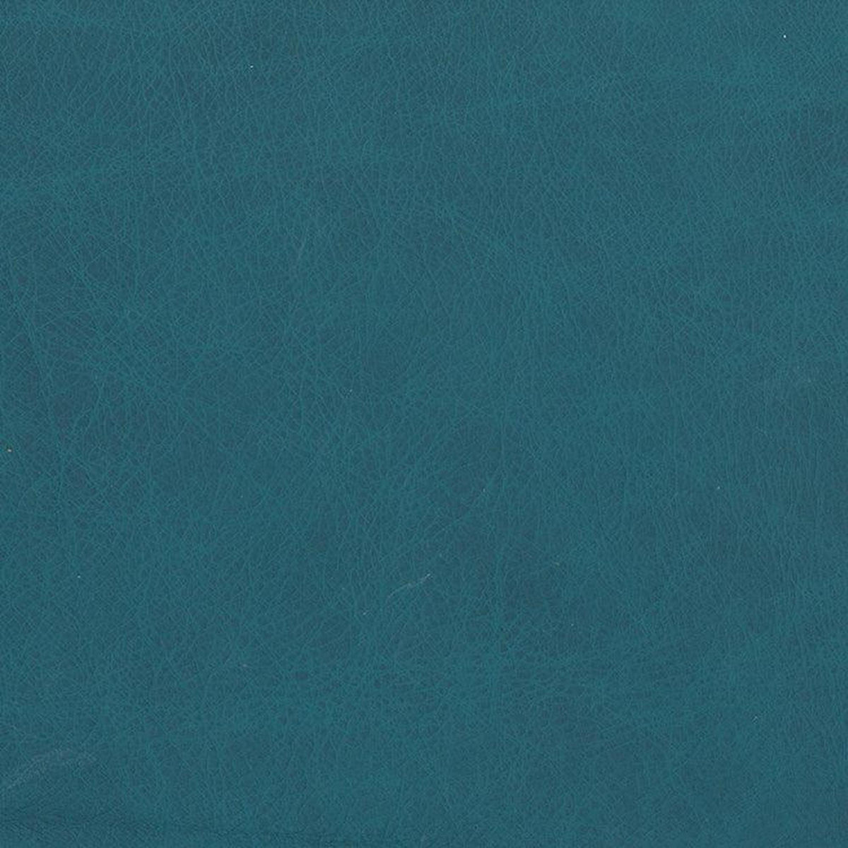 Leather Sample-Saloon Turquoise Aniline Leather Samples Omnia