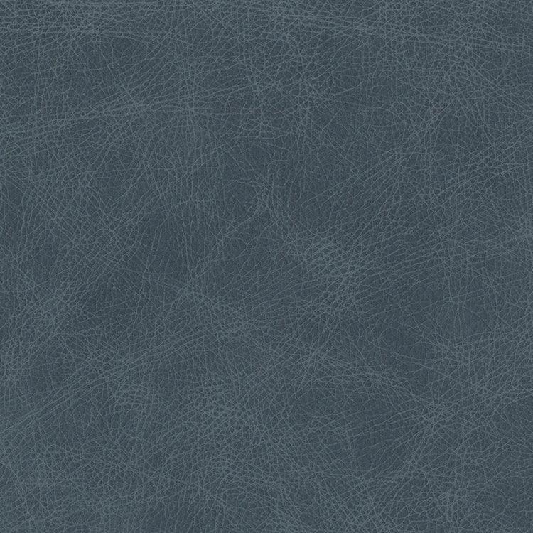 Leather Sample-Saloon Winter Lake Aniline Leather Samples Omnia