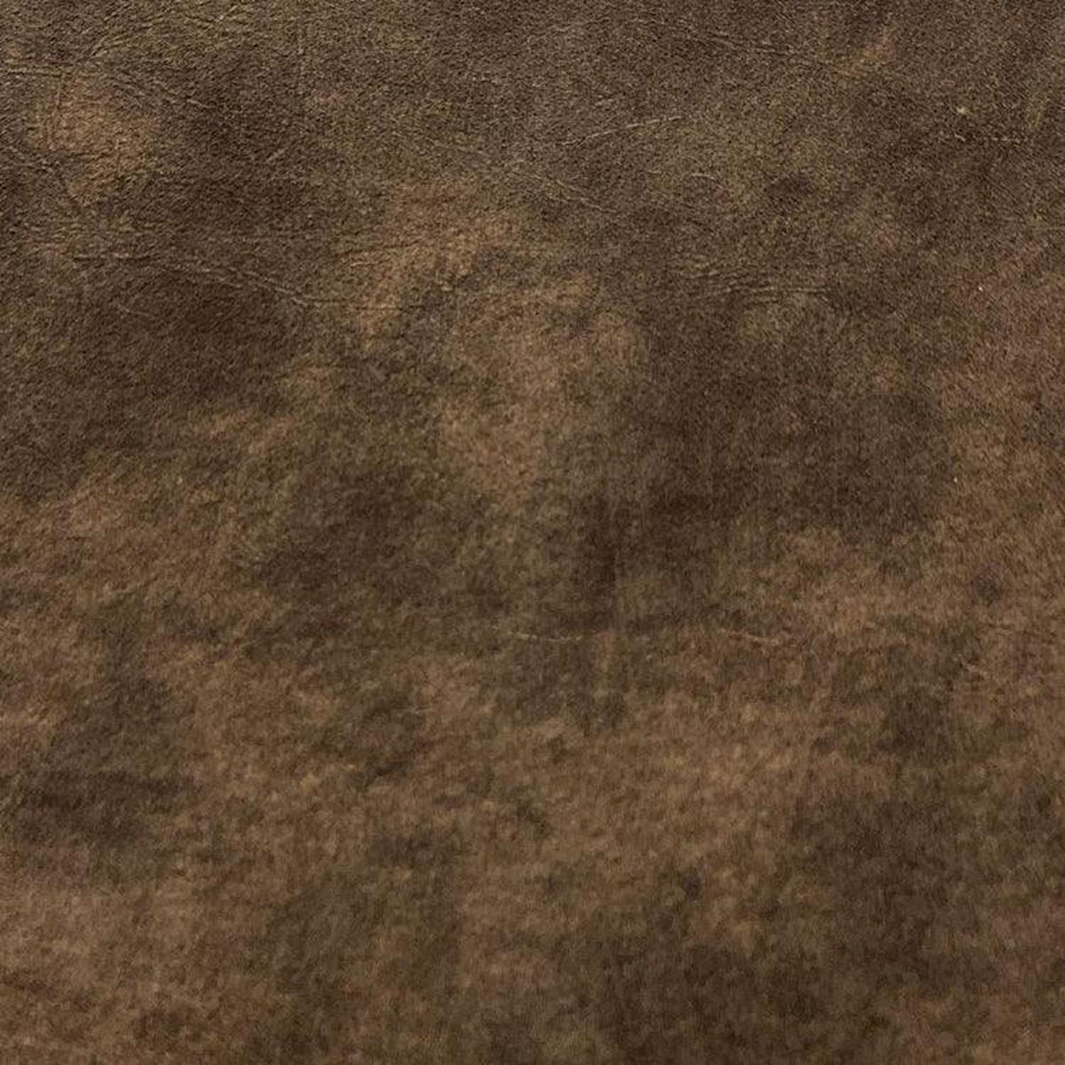 Leather Sample-Seville Timber Protected Plus Samples Omnia
