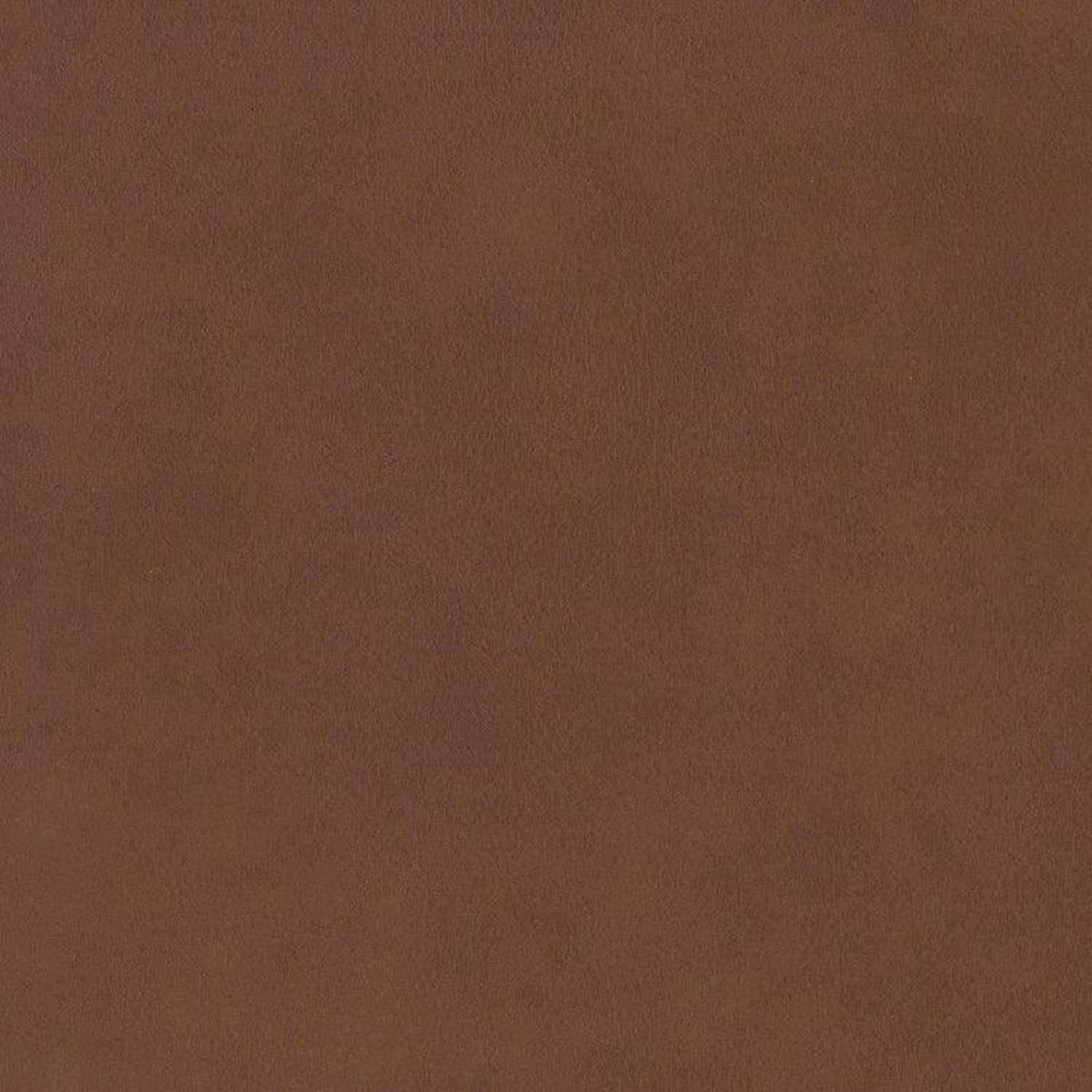 Leather Sample-Silk Ecru Aniline Leather Samples Omnia