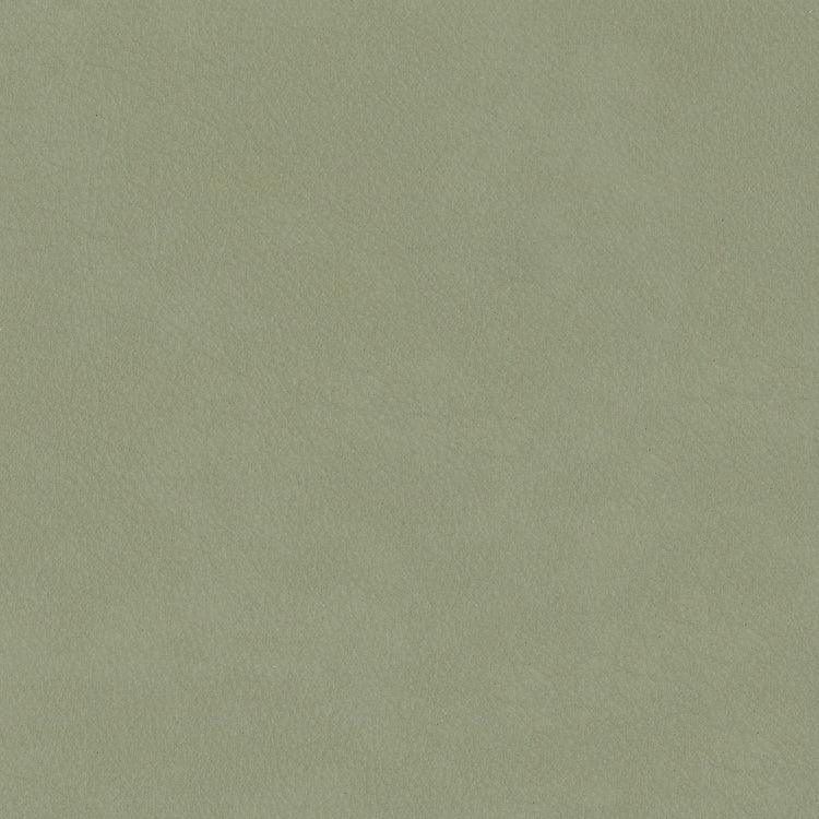 Leather Sample-Silk Kiwi Grade 3 Samples Omnia 